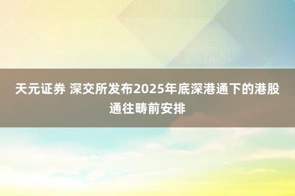 天元证券 深交所发布2025年底深港通下的港股通往畴前安排
