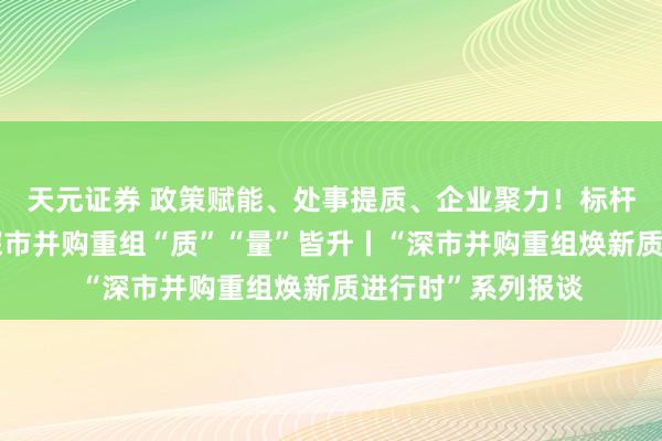 天元证券 政策赋能、处事提质、企业聚力！标杆款式密集落地，深市并购重组“质”“量”皆升丨“深市并购重组焕新质进行时”系列报谈