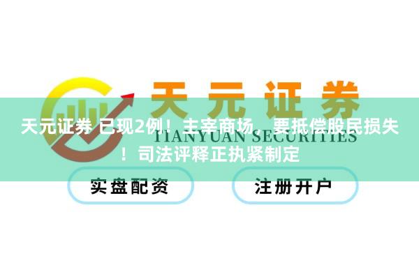 天元证券 已现2例！主宰商场，要抵偿股民损失！司法评释正执紧制定