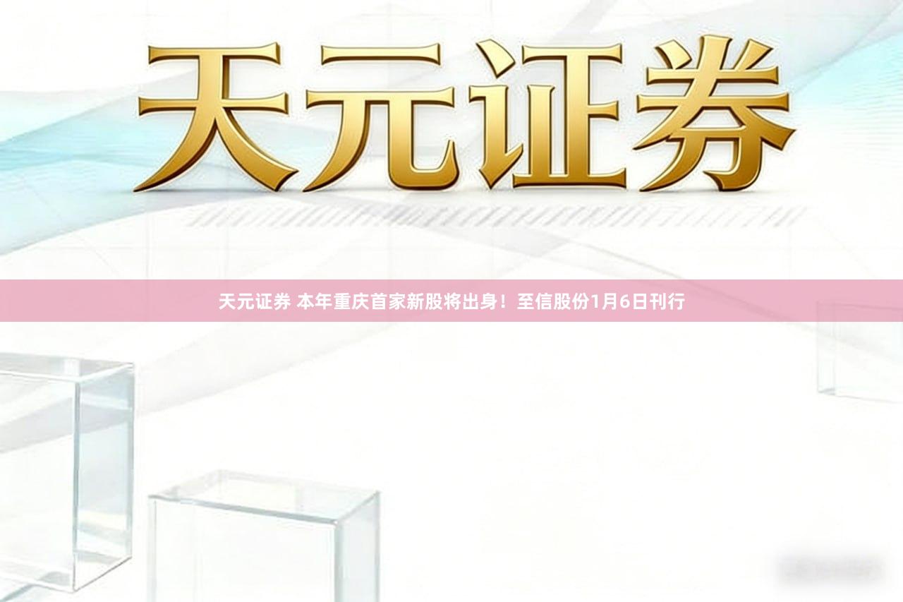 天元证券 本年重庆首家新股将出身！至信股份1月6日刊行