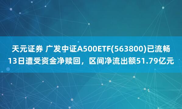 天元证券 广发中证A500ETF(563800)已流畅13日遭受资金净赎回，区间净流出额51.79亿元
