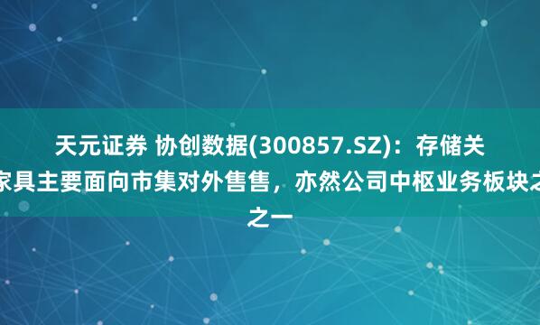 天元证券 协创数据(300857.SZ)：存储关连家具主要面向市集对外售售，亦然公司中枢业务板块之一